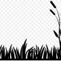 bulrushes-right.jpg