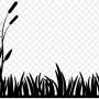 bulrushes.jpg