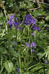 K1207245