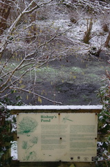 K1219809